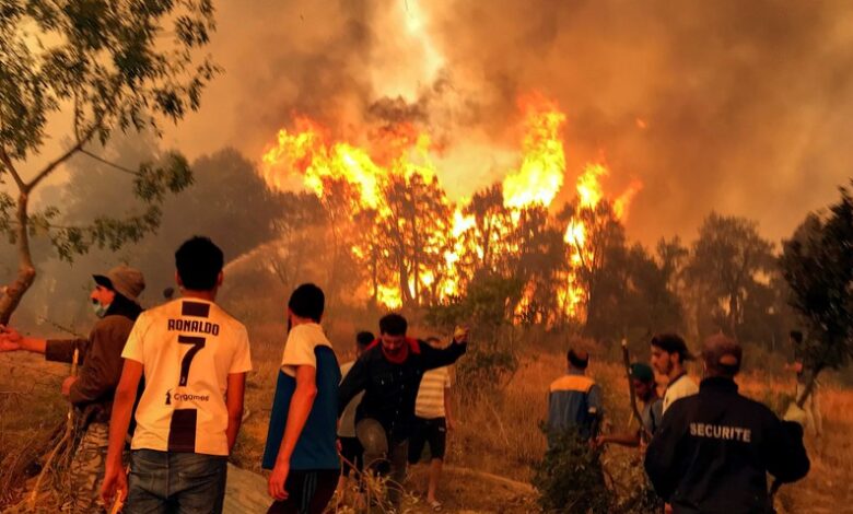 صورة لحرائق الجزائر